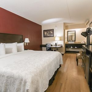Superior King Room Smoke